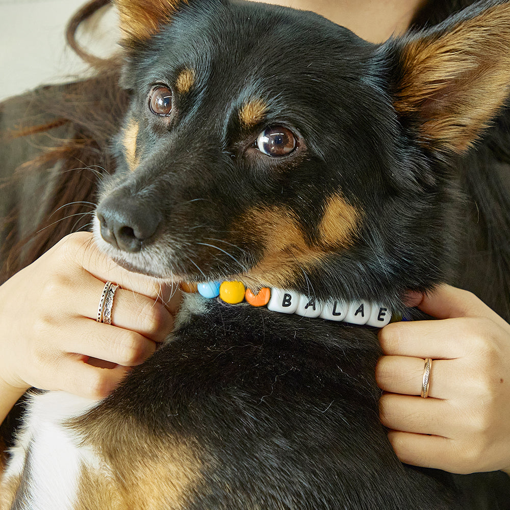 Colorful beaded dog collar with personalized name tag, made by MadeMine, featuring multicolor beads on a durable strap.