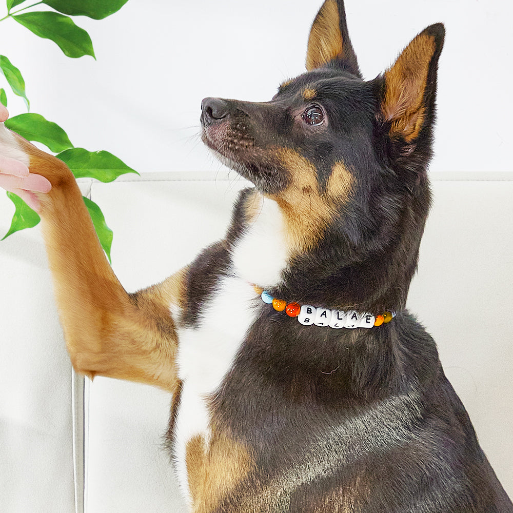 MadeMine custom beaded dog collar in multicolor with name tag, adjustable size for pets, detailed beaded design.