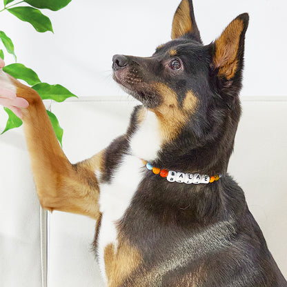 MadeMine custom beaded dog collar in multicolor with name tag, adjustable size for pets, detailed beaded design.