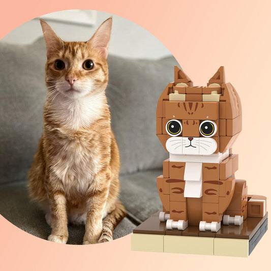 Custom Full-Body Brick Figure – Orange Cat