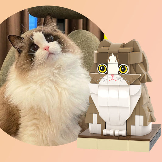 Custom Full-Body Brick Figure – 1 Cat