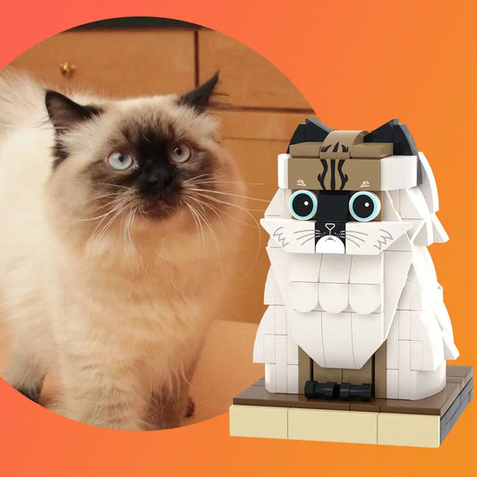 Custom Full-Body Brick Figure – 1 Cat
