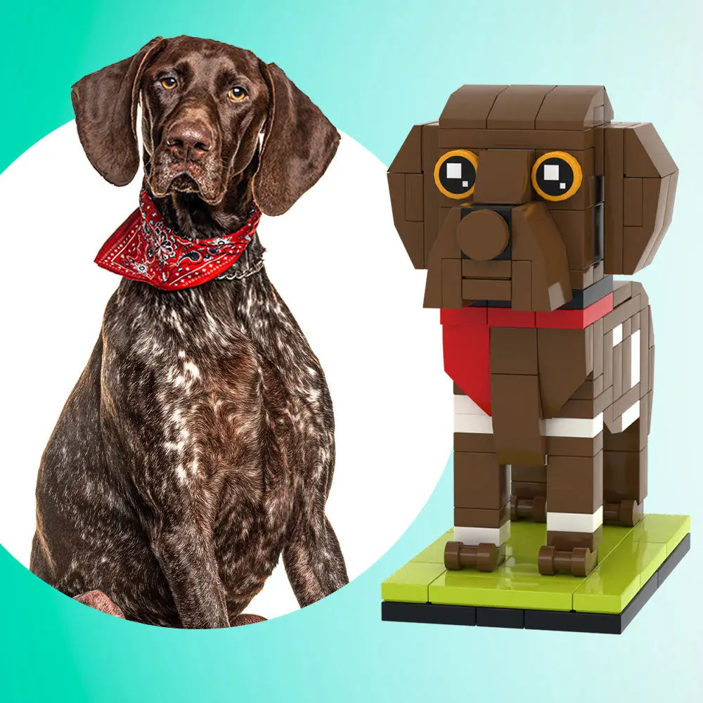Custom Full-Body Brick Figure – German Shorthaired Pointer (1 Dog)